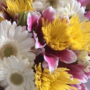 Meet your Posher, Karol